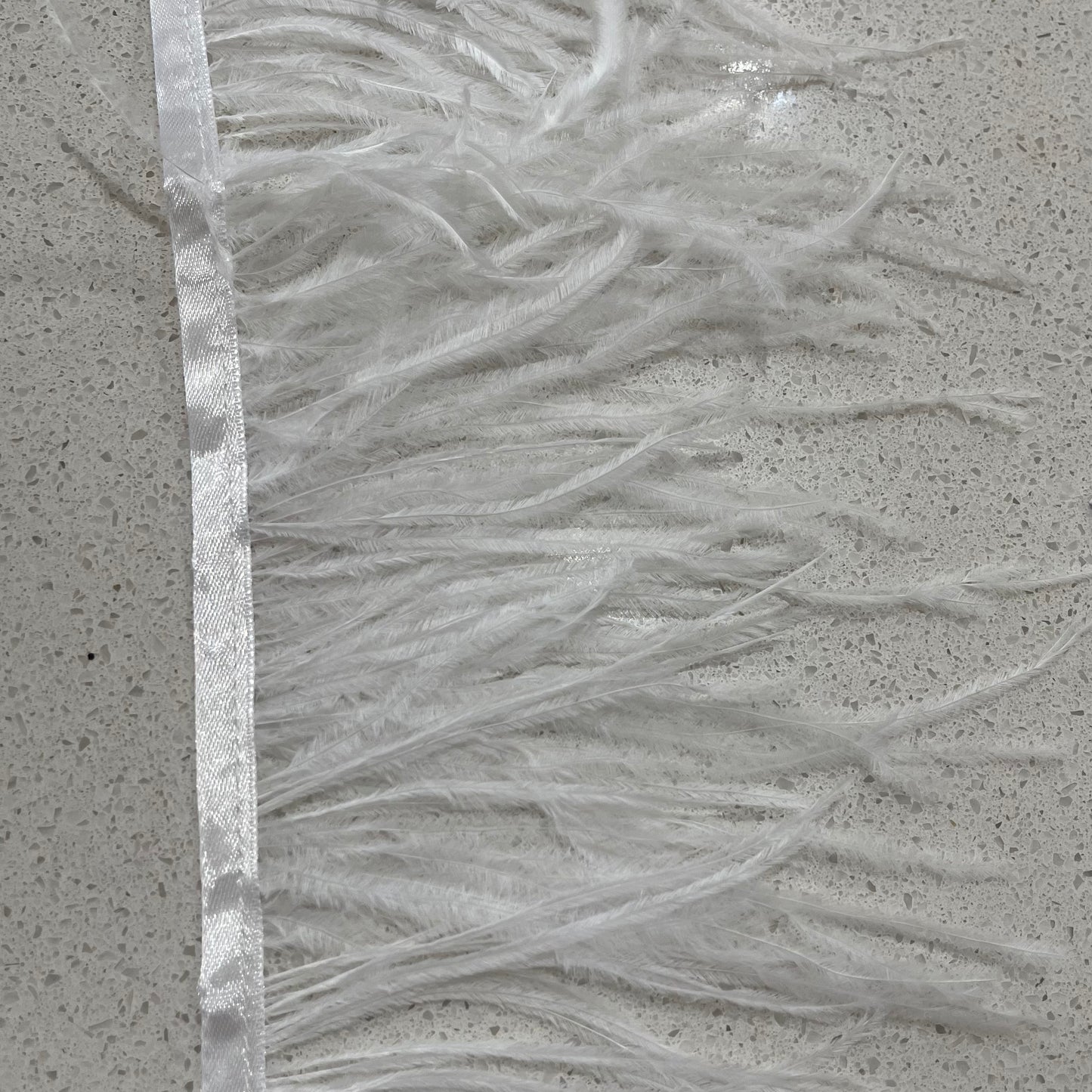 White - Ostrich Feather Trim 15cm